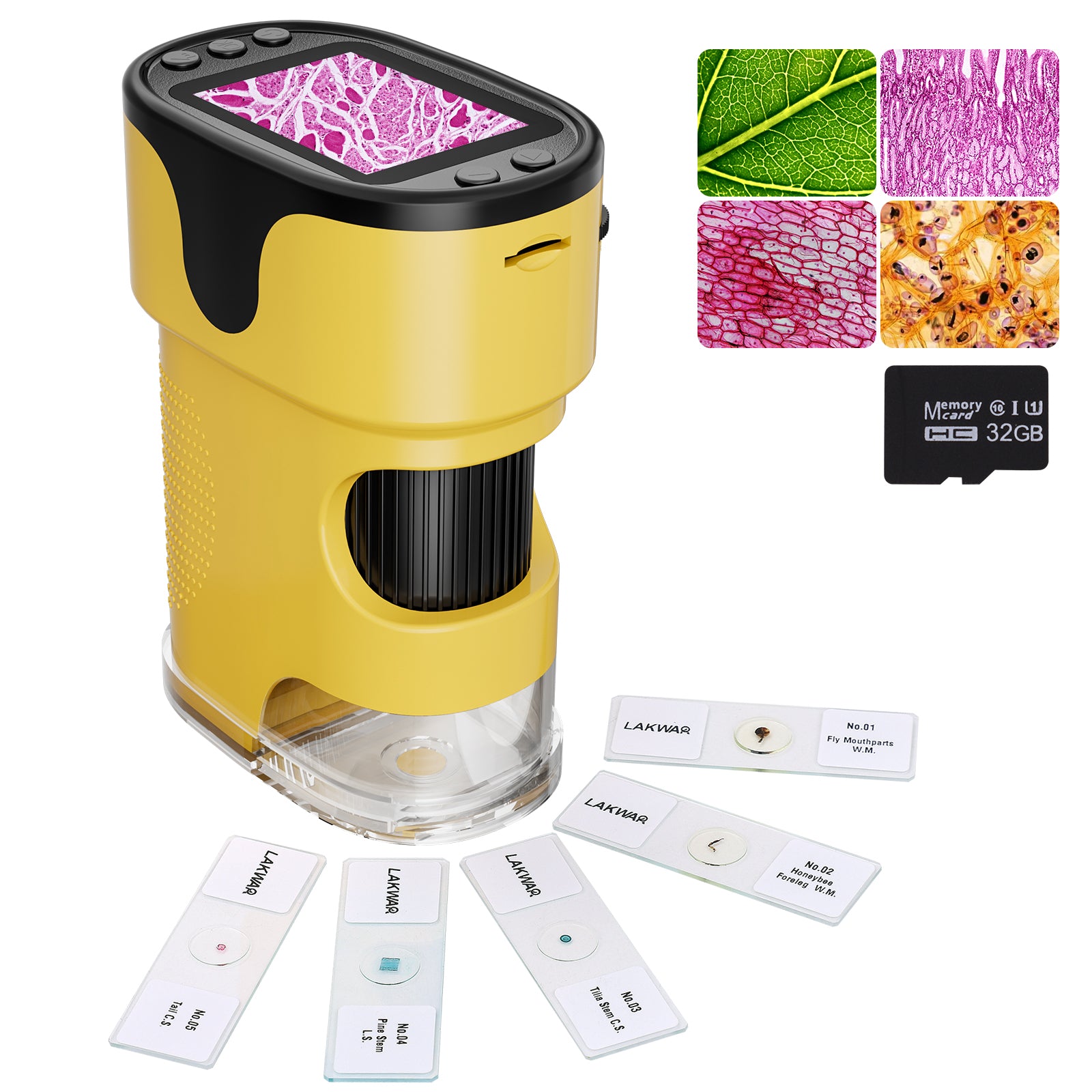 Pocket Microscope - Microscopes pour enfant - Jeux scientifiques - STEM - Jeux éducatifs Pocket Microscope - Microscopes pour enfant - Jeux scientifiques - STEM - Jeux éducatifs