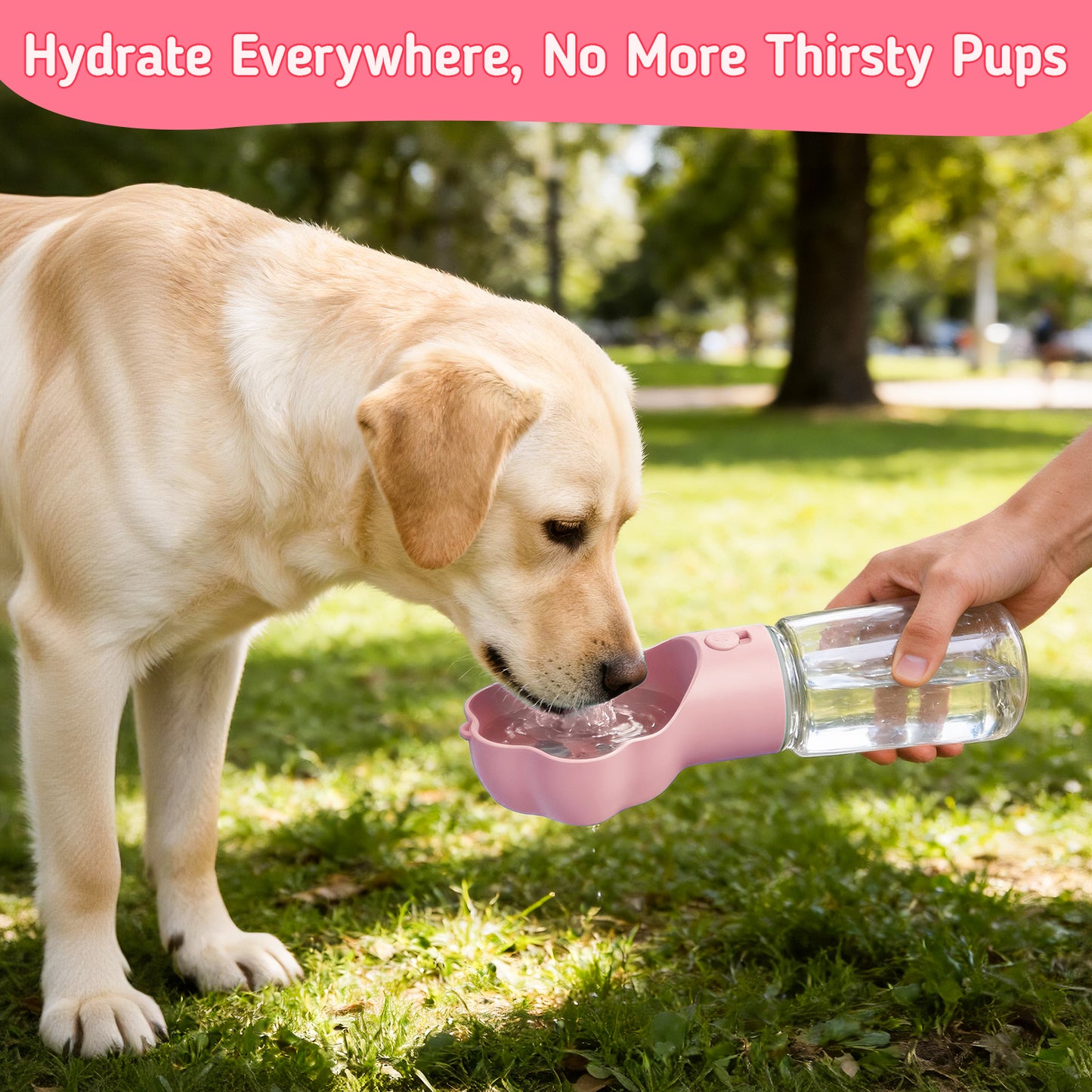 Hutact Dog Water Bottle with Food Container, 18.6oz Pet Dispenser Cup, Detachable 5.7oz Food Container, Portable Leak-Proof Water Bottle with Lock