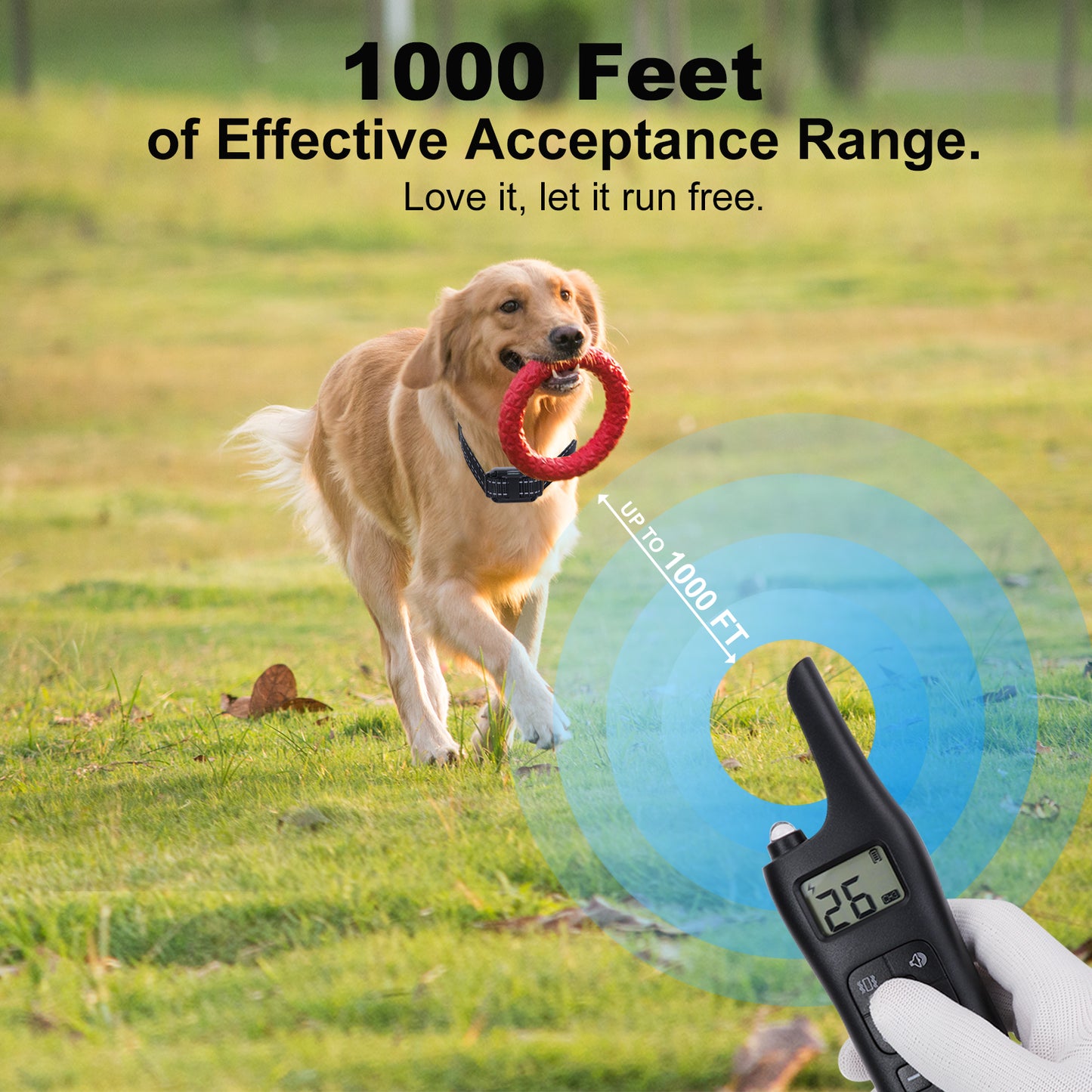 USCAMEL Dog Shock Collar for Large Medium Dogs - Dog Training Collar with Remote and Beep, Vibration, Static Modes,Long Remote Range,Dustproof and Waterproof