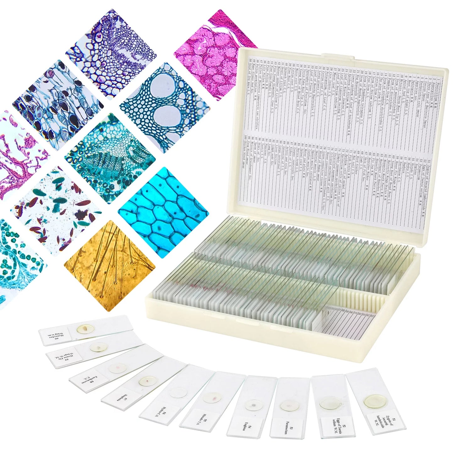 USCAMEL 100PCS Prepared Microscope Slides Set for Kids Junior Scientist, Glass Slides with Premade Specimen for School Home Program Include Plant, Insect, Animal Tissue