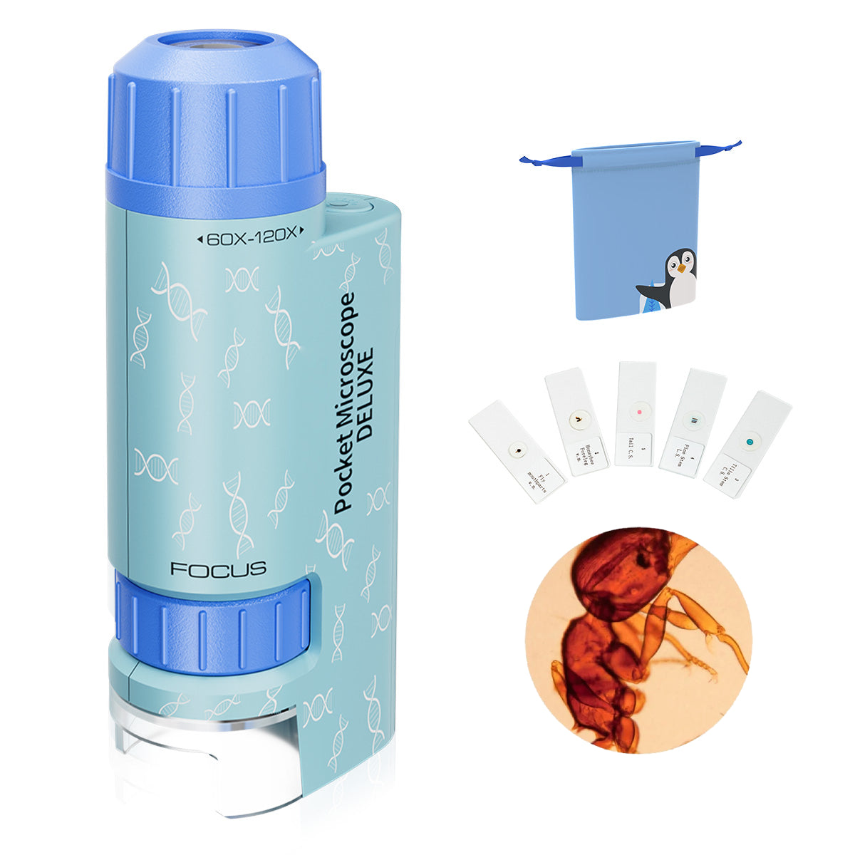 Mini Microscope for Kids, 60x-120x Pocket Microscope Child Toy LED Handheld Small Lightweight Child Microscope with 5pcs Prepared Slides, Blue