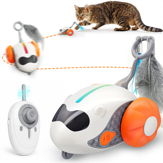 HUTACT Mouse Cat Toy with Remote, Interactive Rechargeable Automatic Moving Play Toy for Indoor Kittens, 2 Modes Fake Mouse with 2 Tails, Chasing Toy to Relieve Cat Boredom