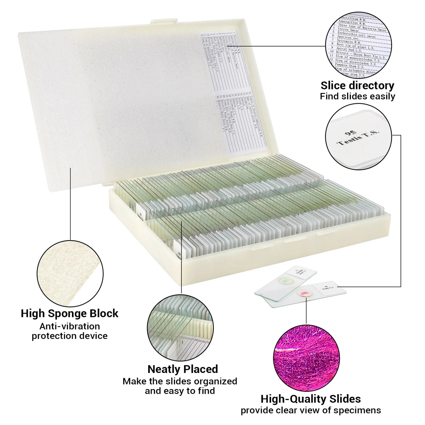 USCAMEL 100PCS Prepared Microscope Slides Set for Kids Junior Scientist, Glass Slides with Premade Specimen for School Home Program Include Plant, Insect, Animal Tissue