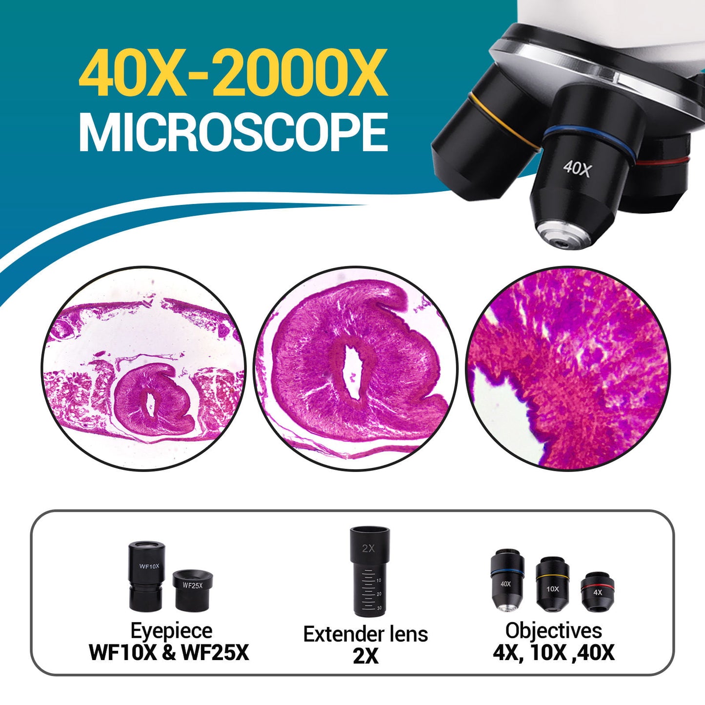 Uscamel 40X-2000X Biological Microscope LED suitable for children, beginners, and adults for school, laboratory, and home education