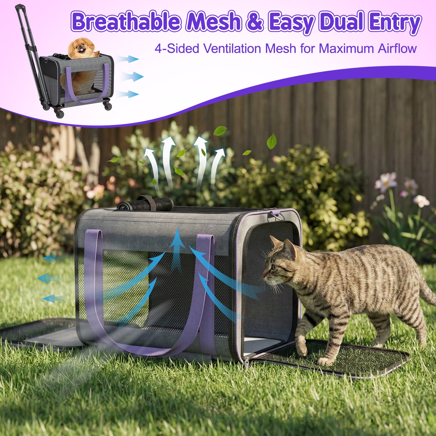Hutact Rolling Cat Carrier with Wheels, Purple Pet Travel Trolley for Cats & Small Dogs, Airline Approved Cat Carrier Bag with Telescopic Handle for Outdoor Use
