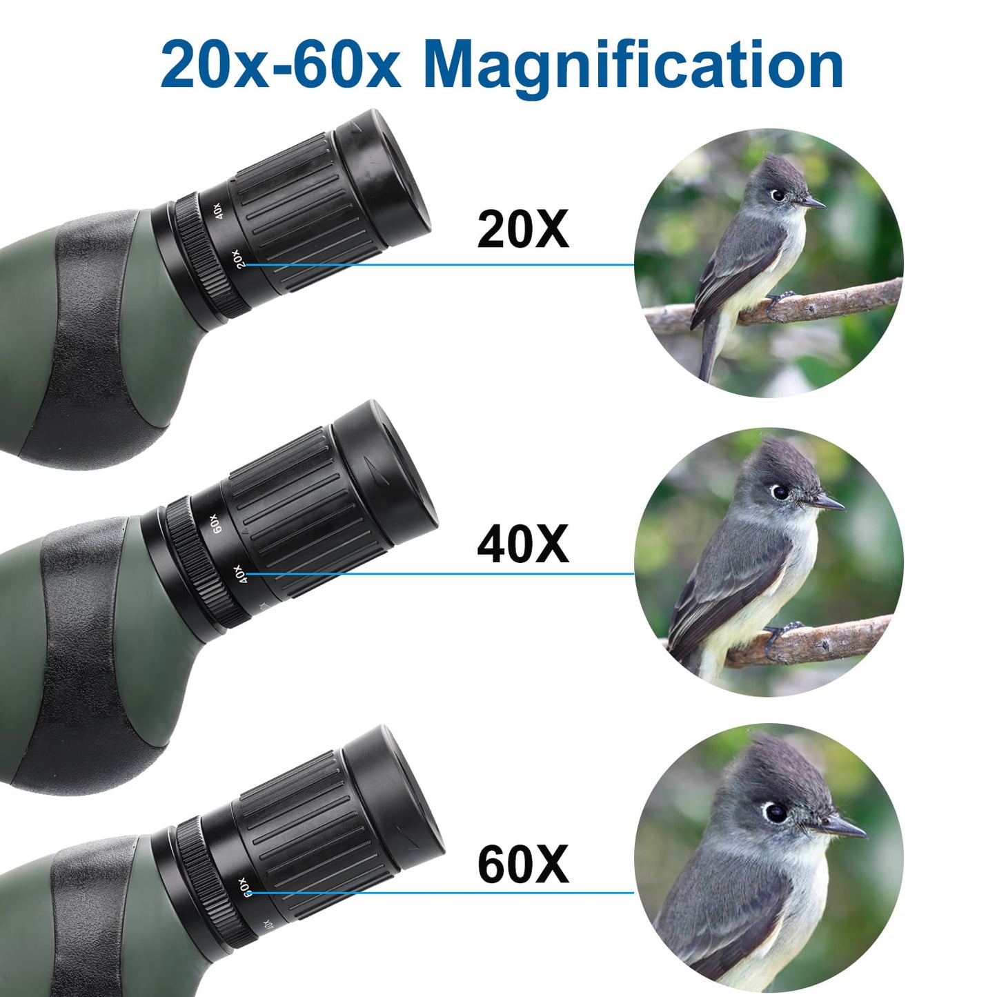 USCAMEL 20-60x65 Spotting Scopes with Tripod, Carrying Bag for Target Shooting,Birding,Wildlife Viewing