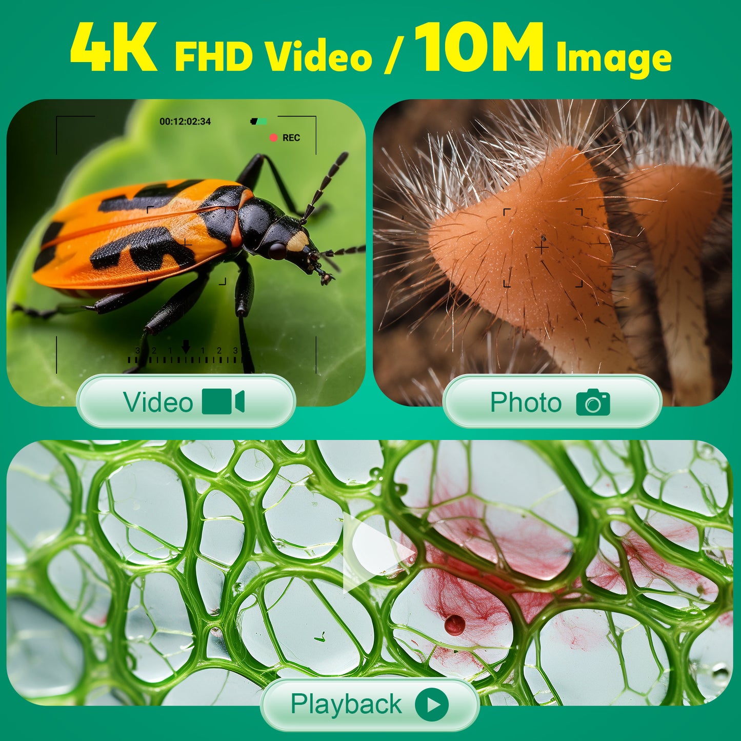 HUTACT Digital Microscope with 3.5” LCD Screen, Microscope for Kids & Adults, 1000X Microscope with Detachable Stand LED Lights, PC Compatible, 10MP HD Imaging, Microscope Kit with Slides