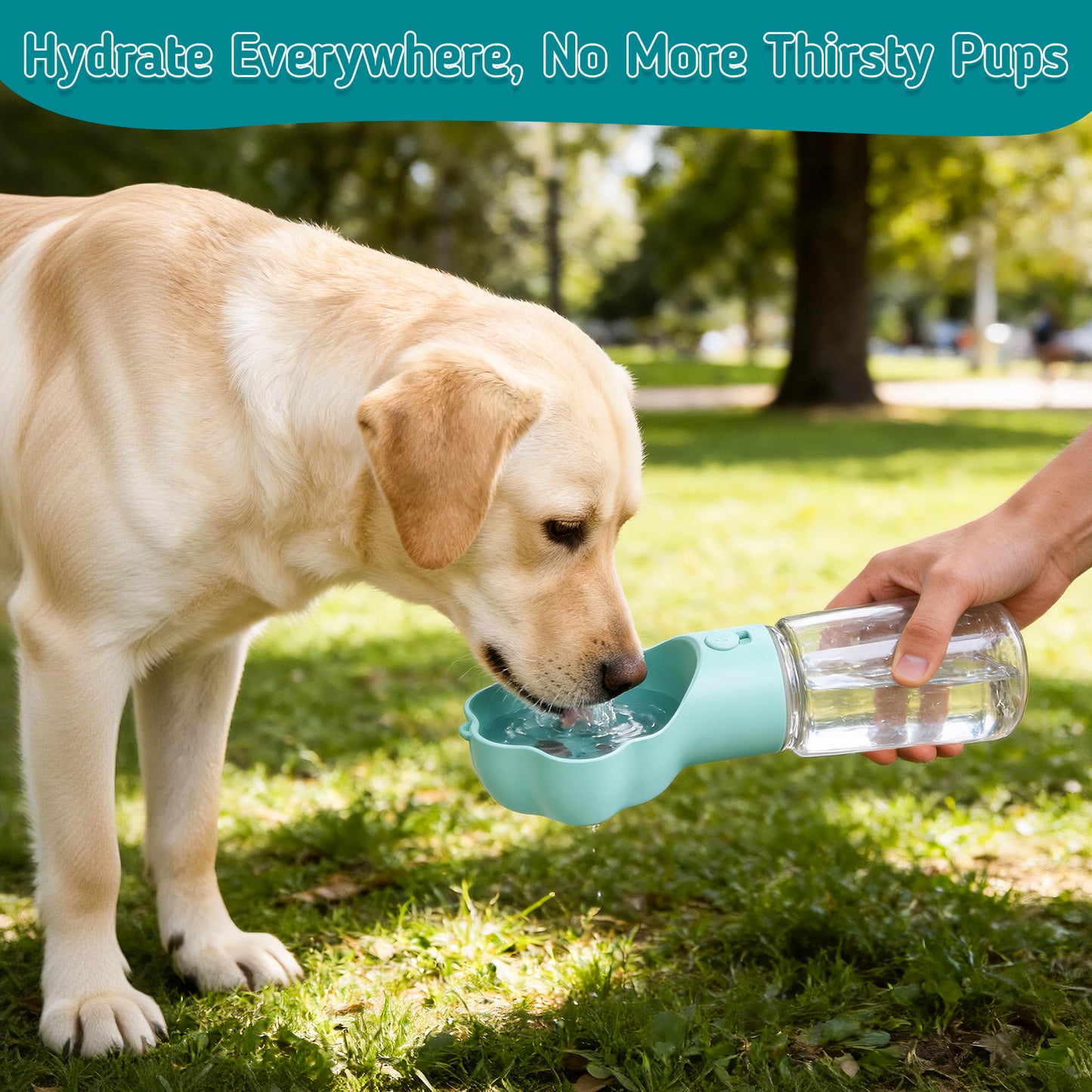 Hutact Dog Water Bottle with Food Container, 18.6oz Pet Dispenser Cup, Detachable 5.7oz Food Container, Portable Leak-Proof Water Bottle with Lock