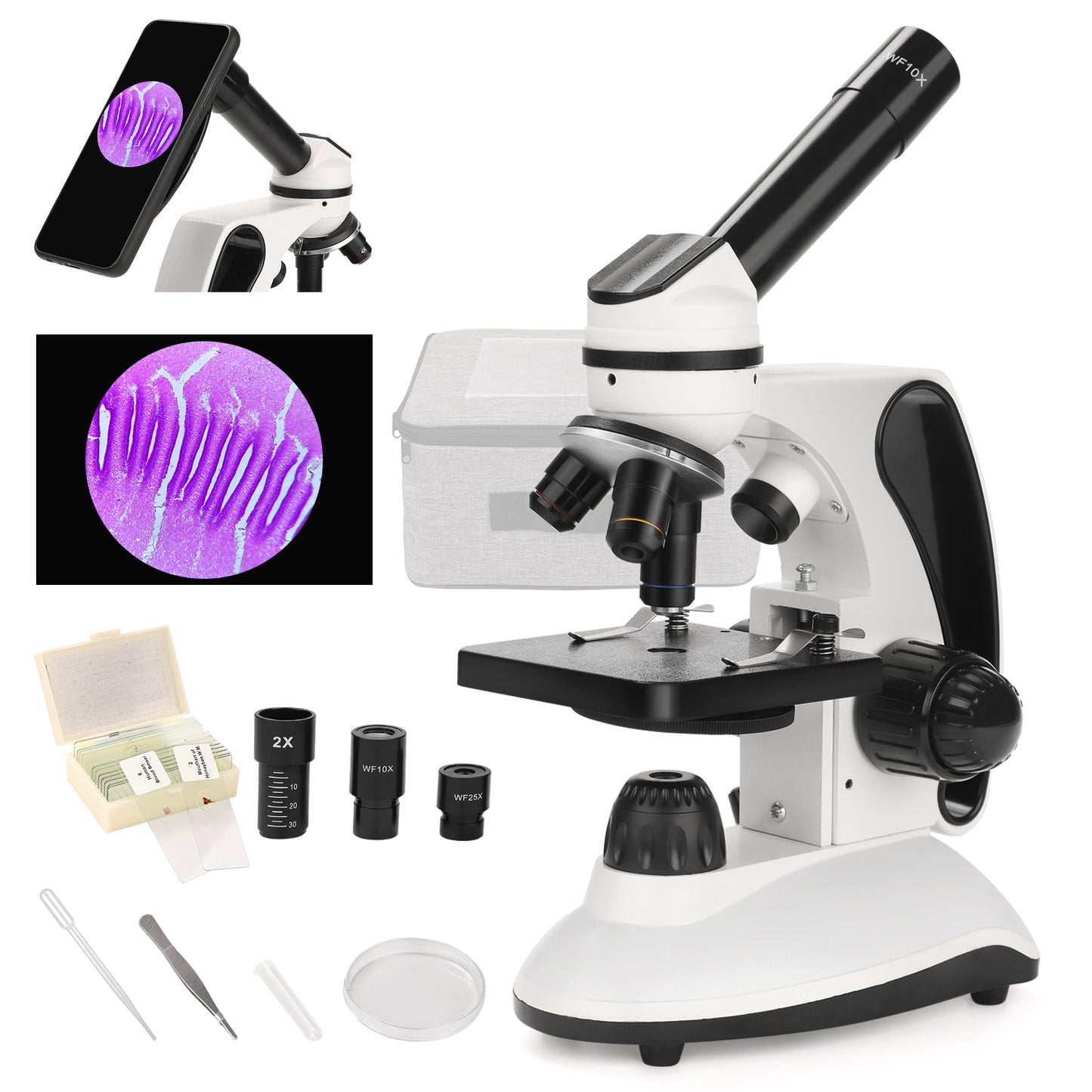 40X-2000X Microscope for Adults Kids Beginners, Compound White Microscope with Slides Kit