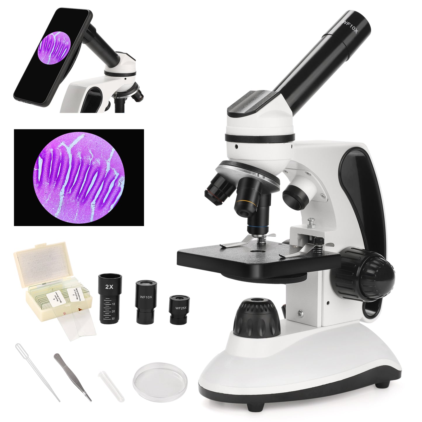 40X-2000X Microscope for Adults Kids Beginners, Compound White Microscope with Slides Kit