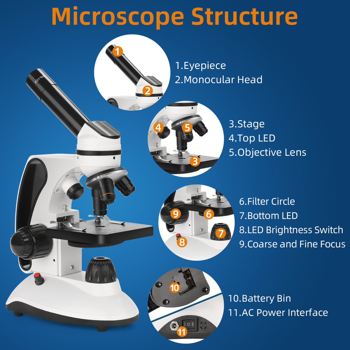 Microscope Beginners Training 40X-2000X Microscope for Adults Kids Beginners, Compound White Microsc ...
