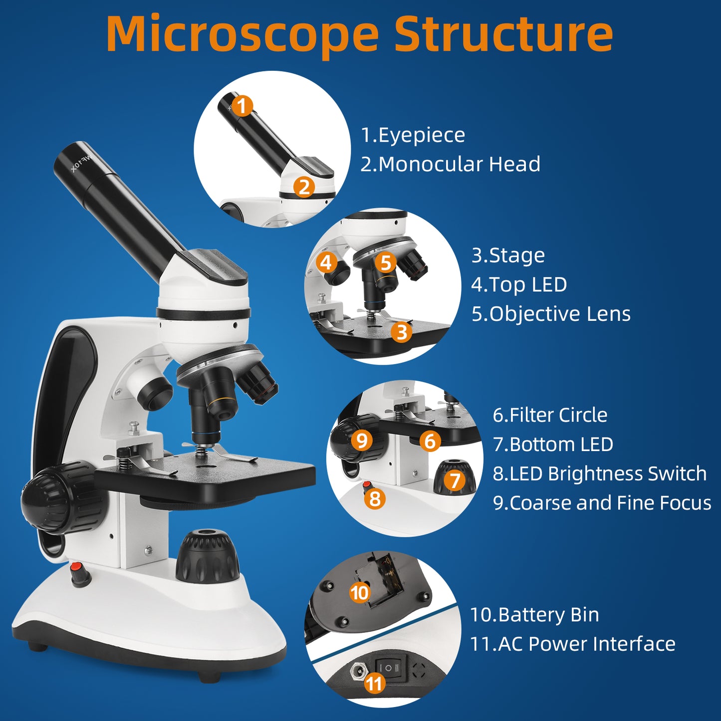 40X-2000X Microscope for Adults Kids Beginners, Compound White Microscope with Slides Kit