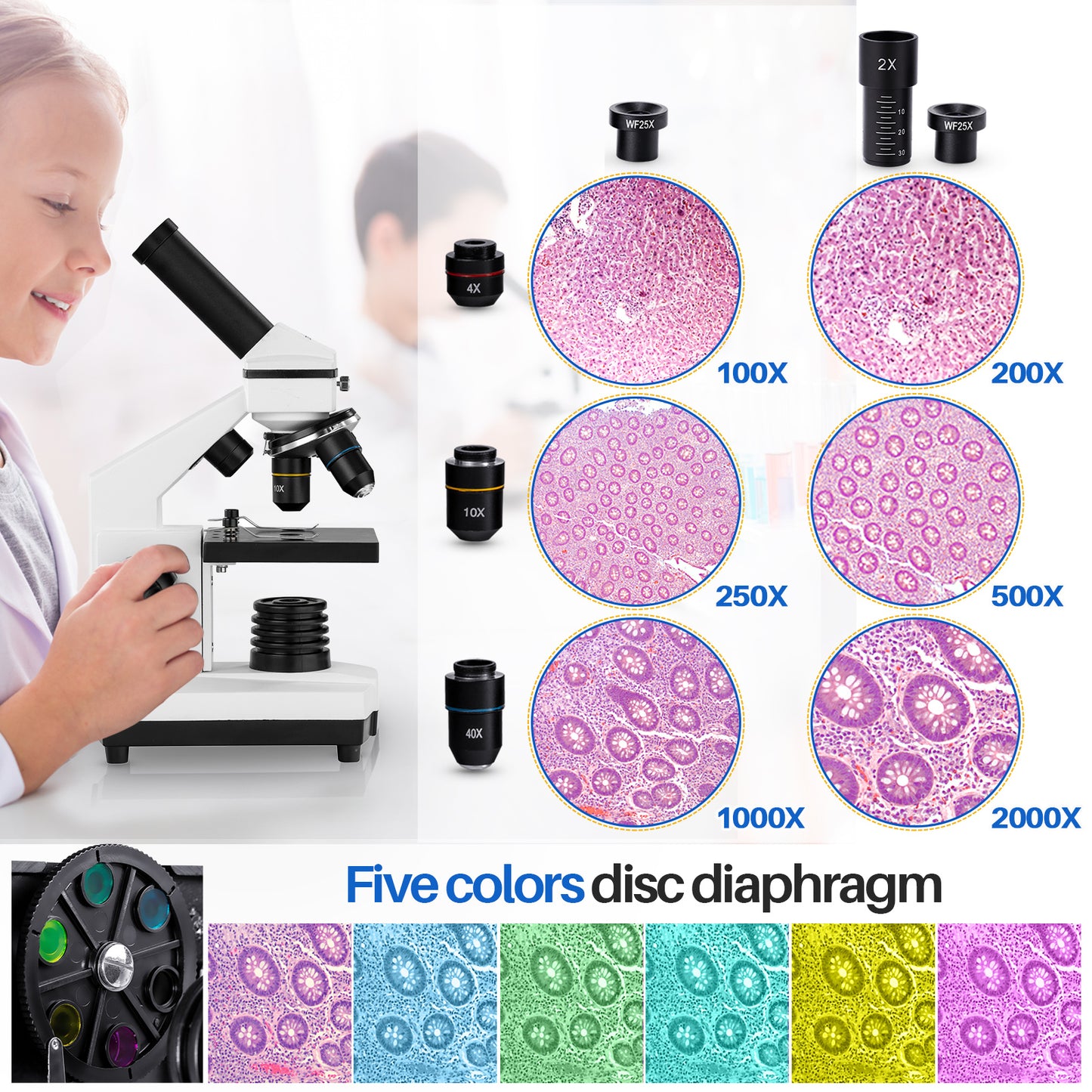 100X-2000X Microscope, Compound Microscope Powerful Biological Microscope for Kids Adult with Slides Set