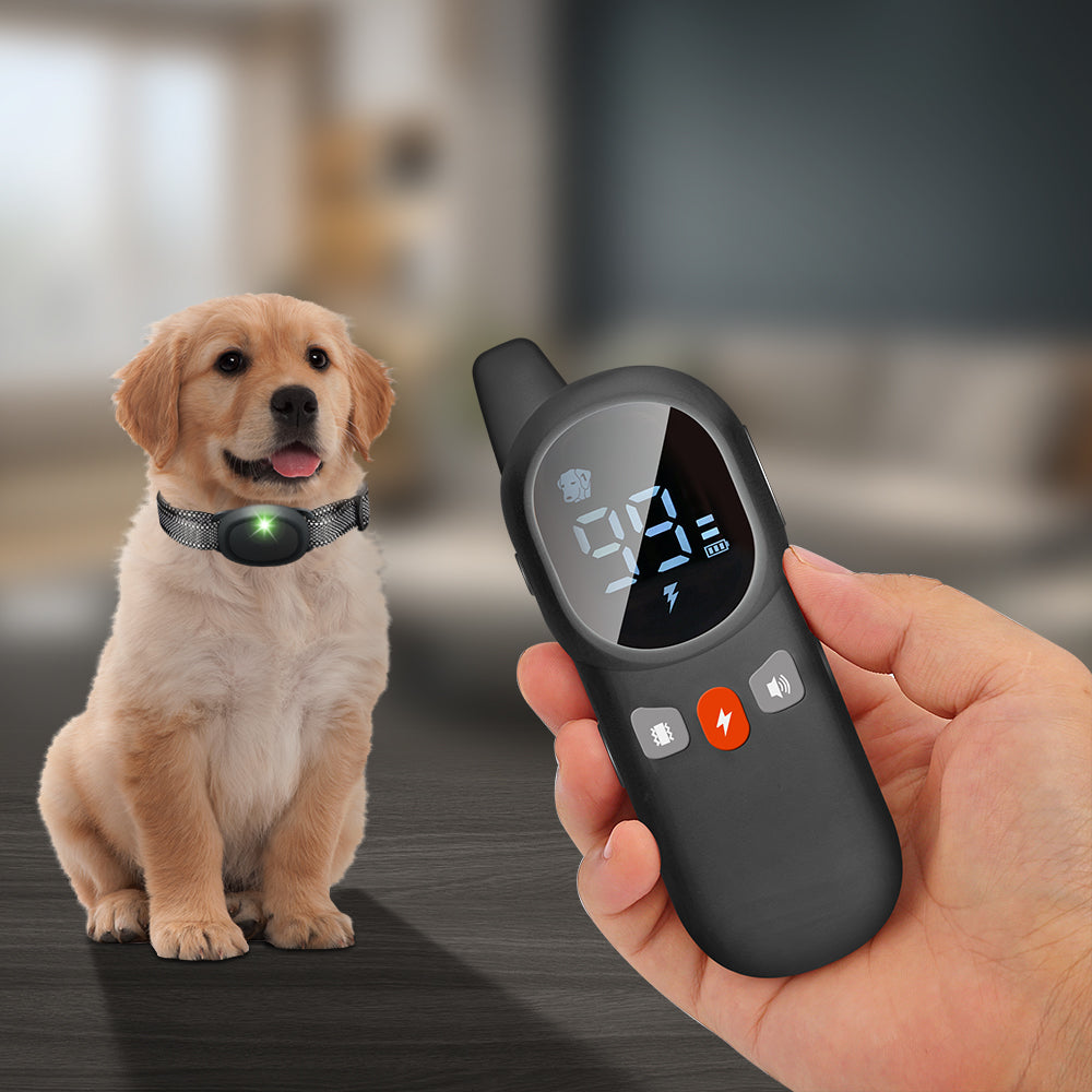 HUTACT Dog Shock Collar Training Collar for Dogs, 99 Levels 3 Adjustable Modes Beep Vibration Shock Trainging Set for Large Medium Small Dogs