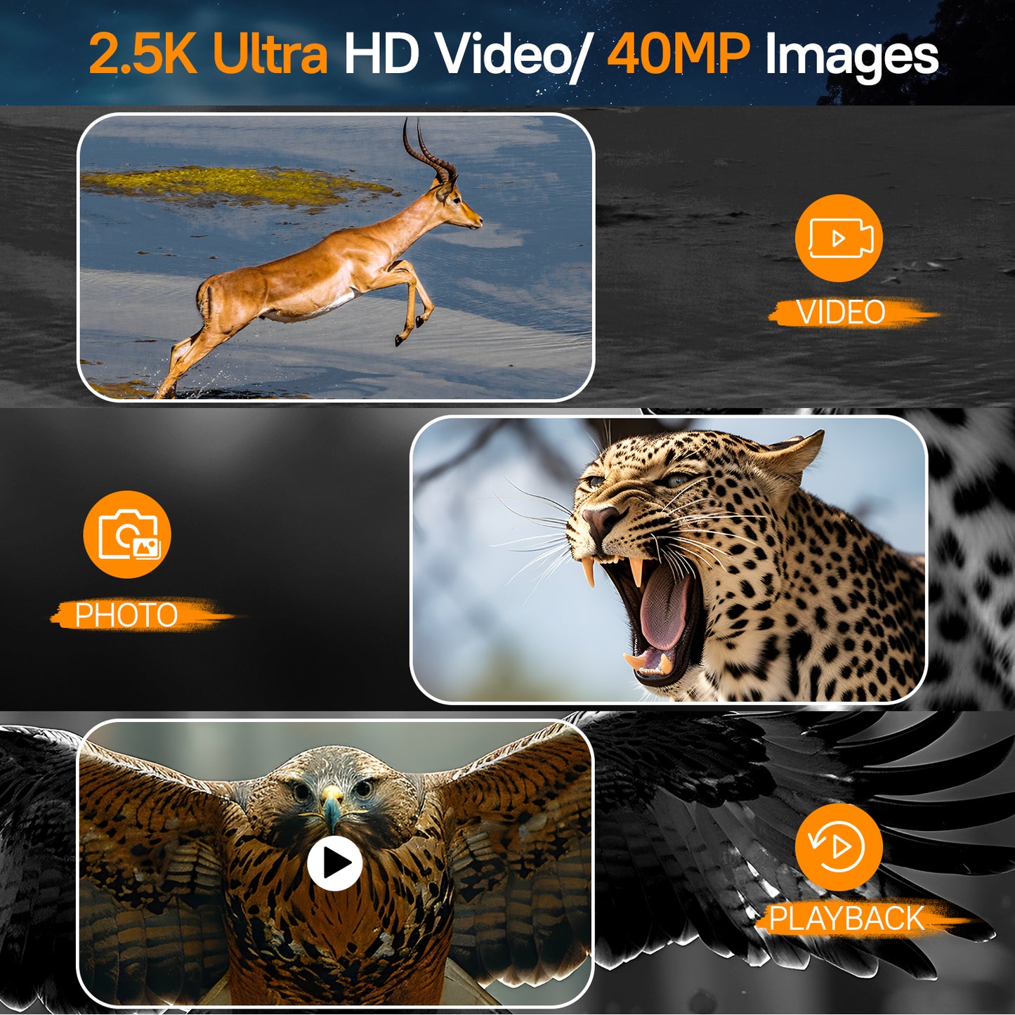 USCAMEL Night Vision Binoculars for Adults, 3" Screen Digital Goggles Day and Night, 8x Zoom Infrared Digital Binoculars w/32G SD Card, Card Reader for Photo & Video Record, for Hunting