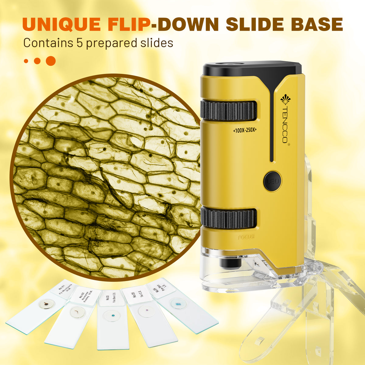 Mini Disposable Microscope 100X-250X Pocket Microscope, Mini Portable Handheld Microscope for Kid ...
