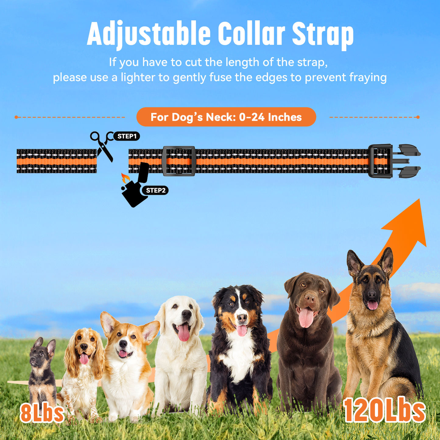 Dog Training Collar 2 Dogs with Remote, With Beep, Vibration, Shock, Light and Keypad Lock Mode, Waterproof Electric Dog Collar Set for Small Medium Large Dogs