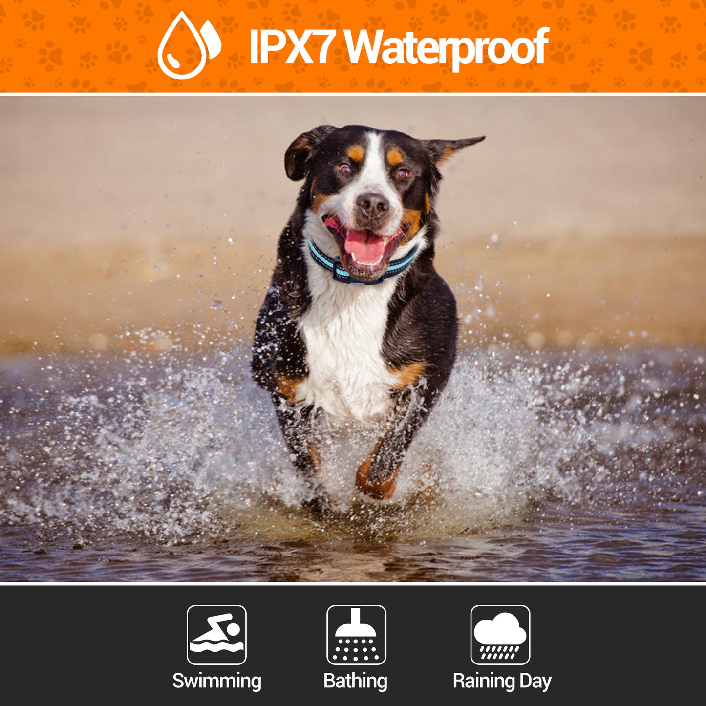 HUTACT Shock Collar for Dogs, Training Collar with Remote, Dog Shock Collar 3000FT Wide Range Remote Control with Beep Vibration Shock Modes