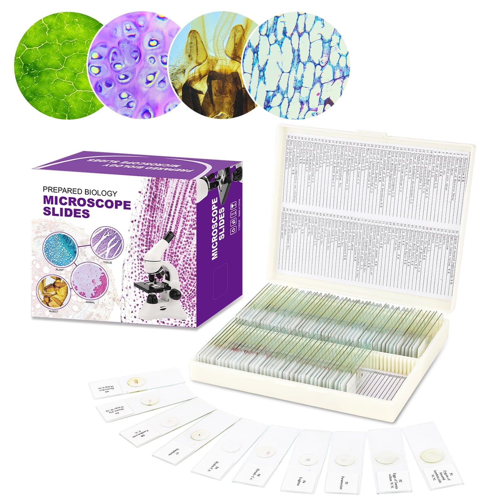 USCAMEL 100PCS Prepared Microscope Slides Set for Kids Adults, Glass S ...